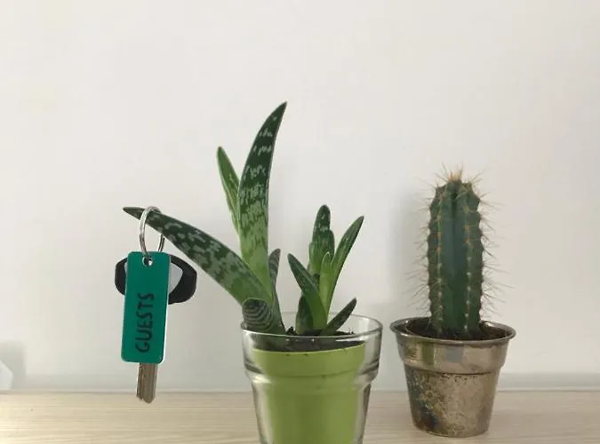 Le Stagioni Dellarena * Верона