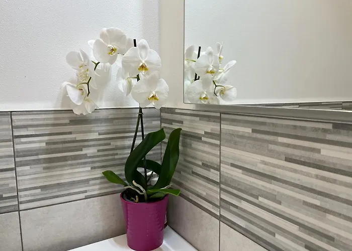 Le Stagioni Dellarena Апартаменты Верона